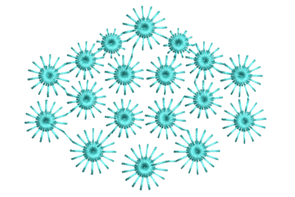 Reviewing Floral Shape Embroidery Design